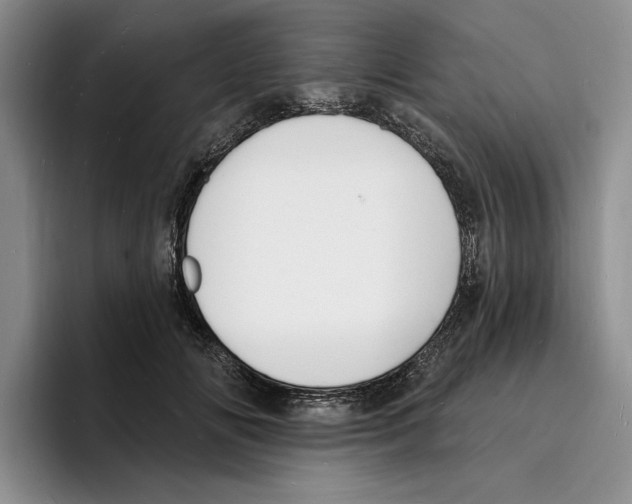 X0000096390702200802211142