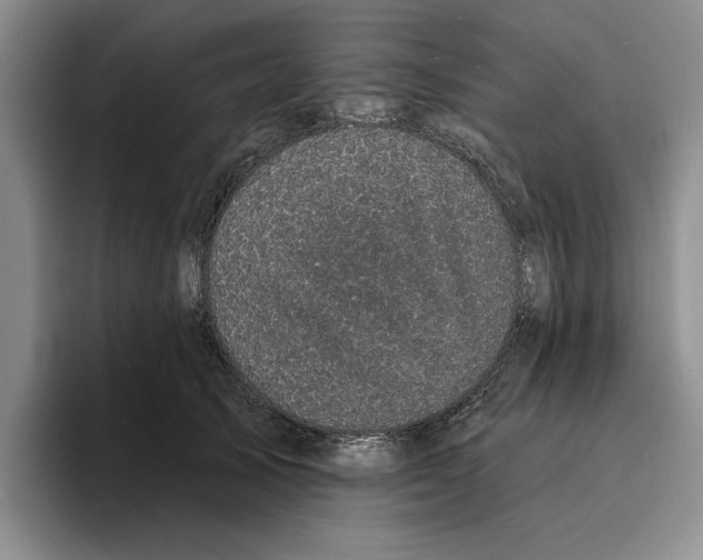 X0000096390705200802211142