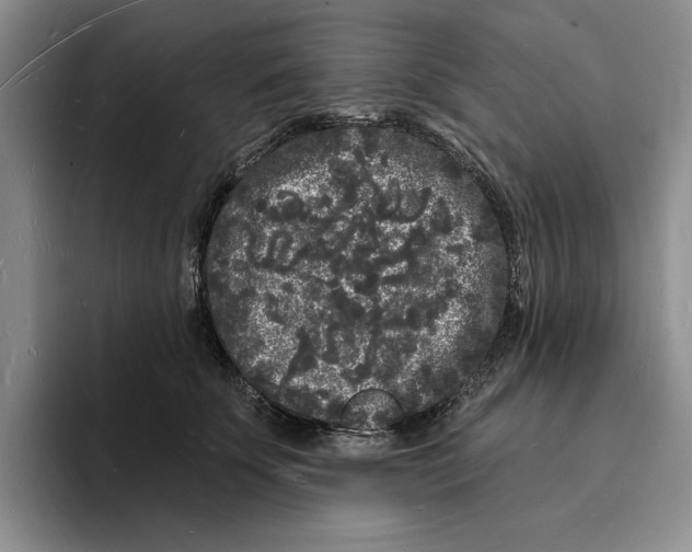X0000096390707200802211142
