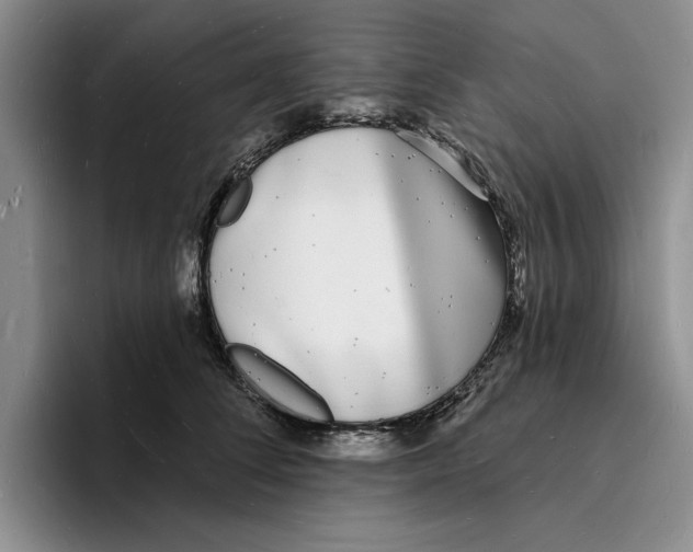 X0000096390708200802211142