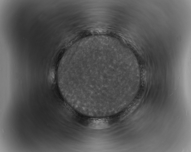 X0000096390709200802211142
