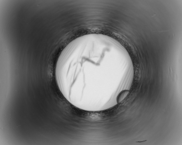 X0000096390710200802211142