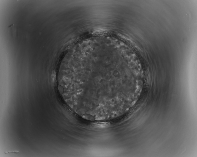 X0000096390711200802211142