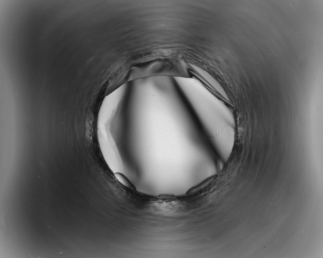 X0000096390712200802211142