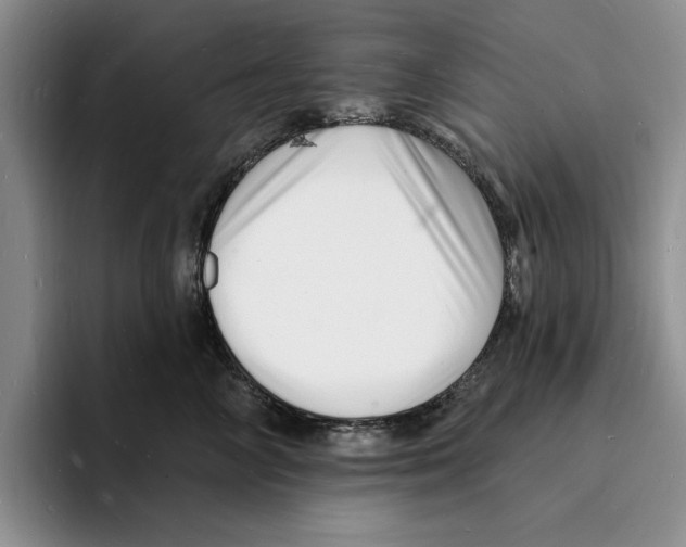 X0000096390714200802211142