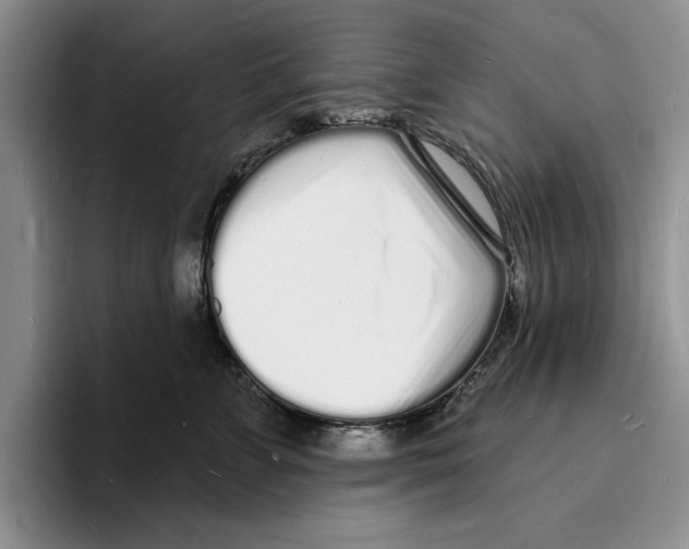 X0000096390715200802211142