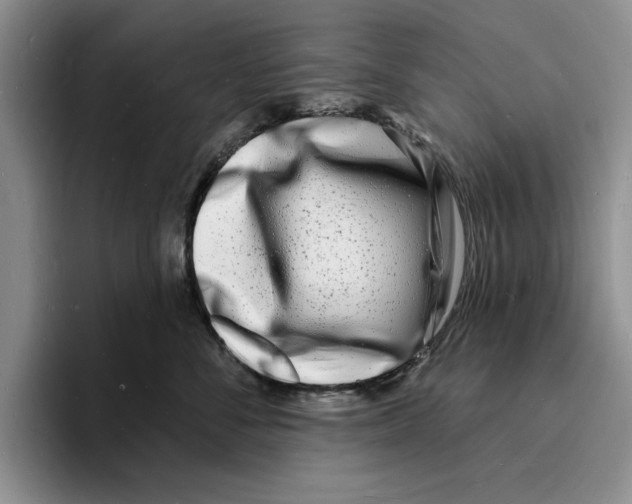 X0000096390716200802211142