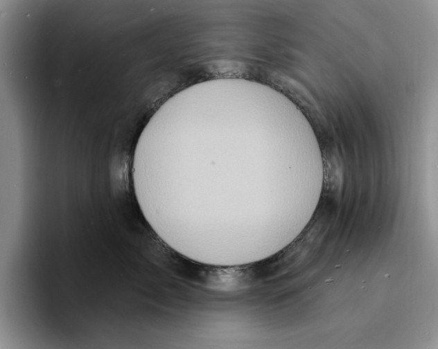 X0000096390717200802211142