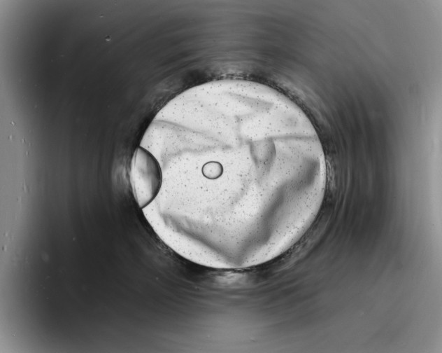 X0000096390718200802211142