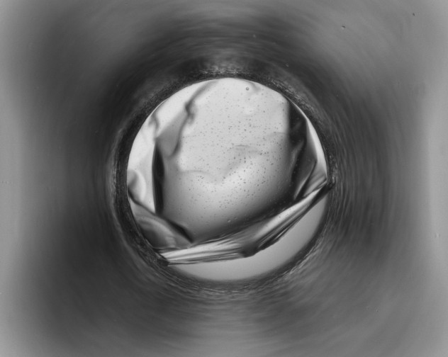 X0000096390722200802211141