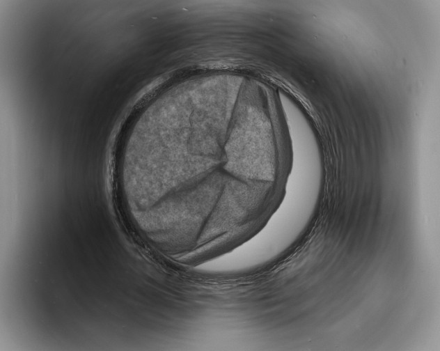 X0000096390724200802211141