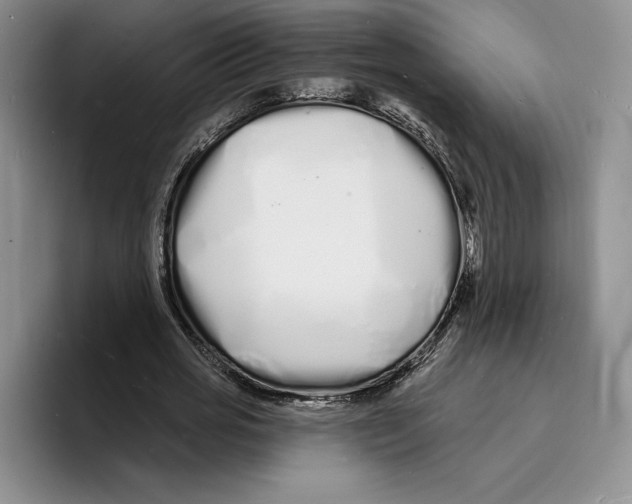 X0000096390725200802211141