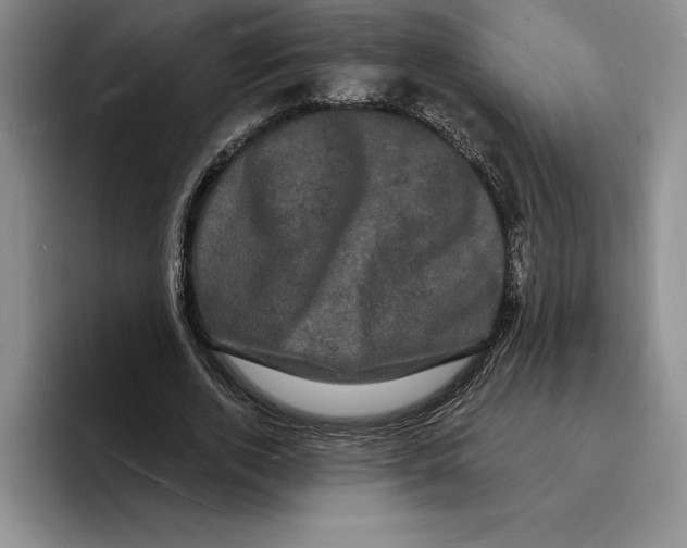 X0000096390728200802211141