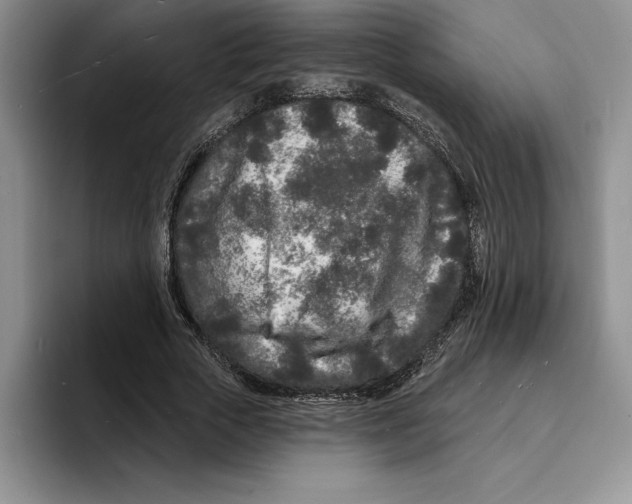 X0000096390729200802211141
