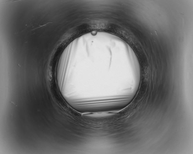 X0000096390731200802211141