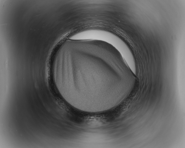 X0000096390732200802211141