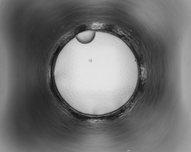 X0000096390733200802211141