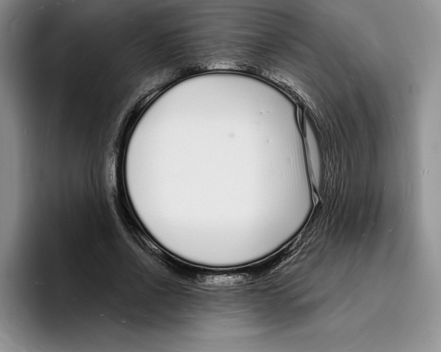 X0000096390734200802211141