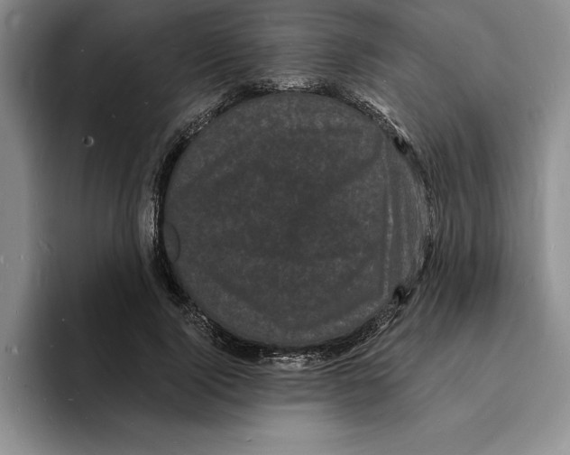 X0000096390740200802211141
