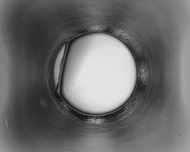 X0000096390742200802211141