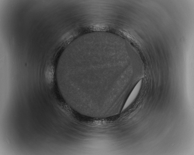 X0000096390744200802211141