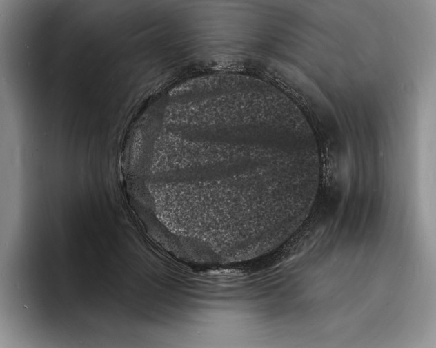 X0000096390748200802211141