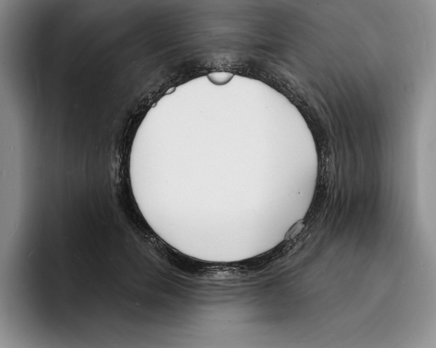 X0000096390750200802211141