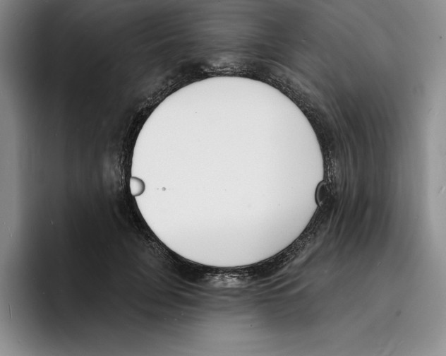 X0000096390751200802211142