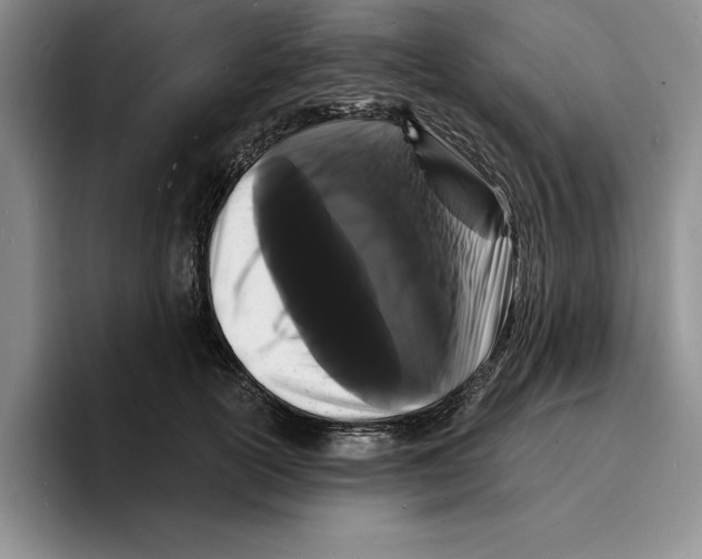 X0000096390754200802211142