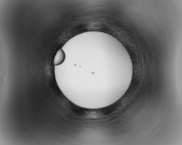 X0000096390755200802211142