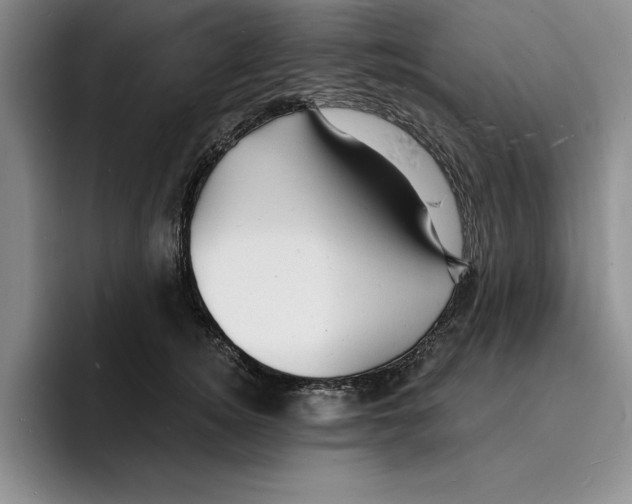 X0000096390756200802211142