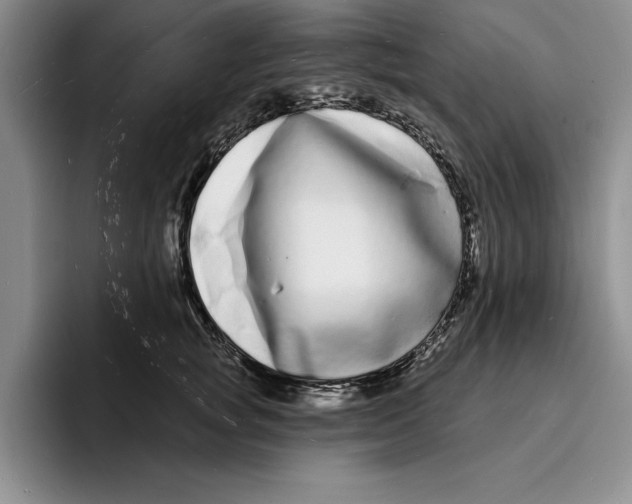 X0000096390757200802211142