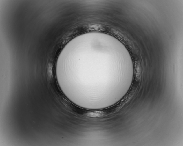 X0000096390758200802211142
