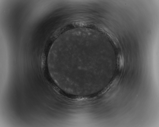 X0000096390760200802211142