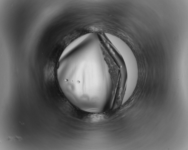 X0000096390762200802211142
