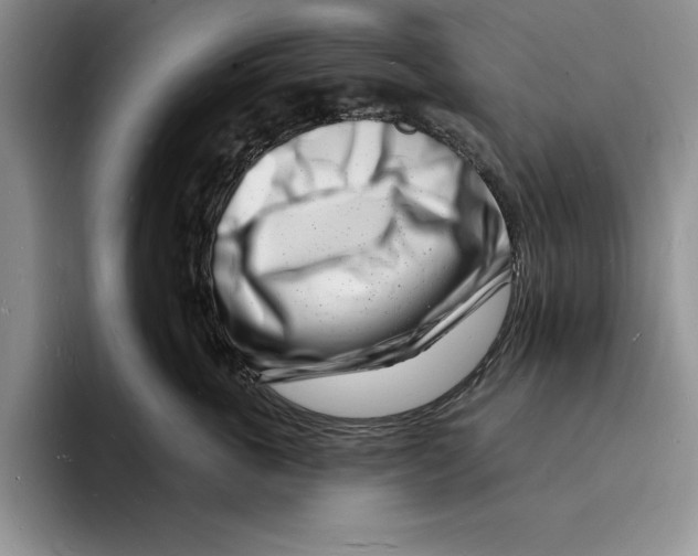 X0000096390763200802211142