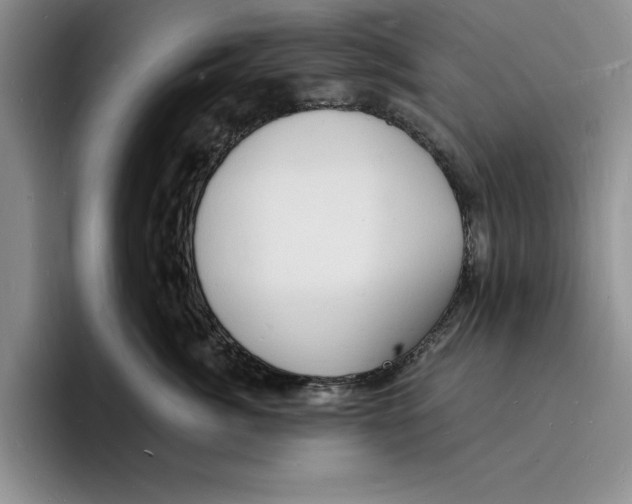 X0000096390764200802211142