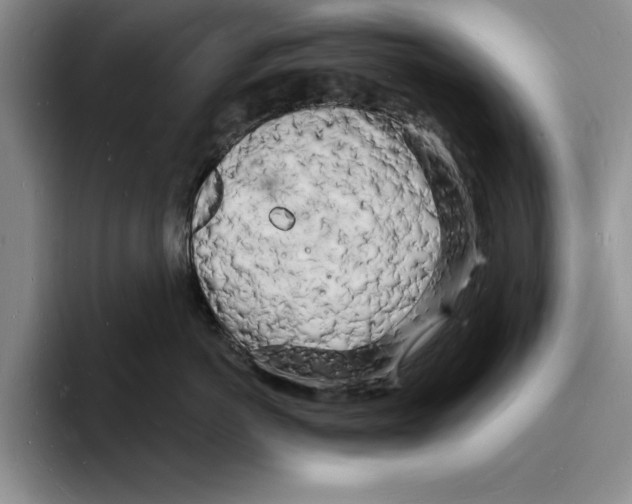 X0000096390766200802211142