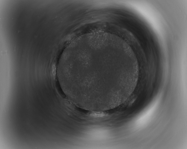 X0000096390767200802211142
