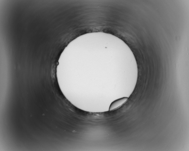 X0000096390768200802211142