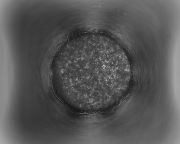 X0000096390769200802211141
