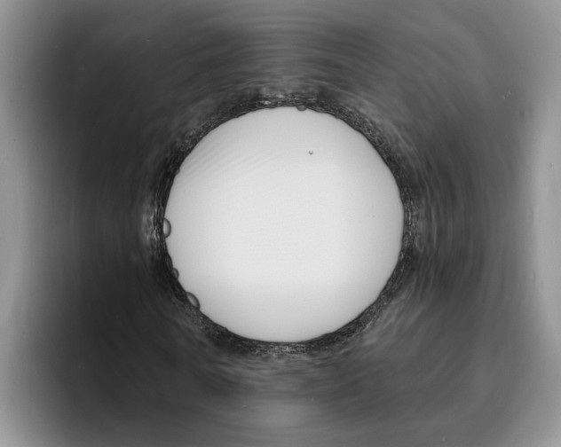 X0000096390770200802211141