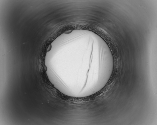 X0000096390774200802211141