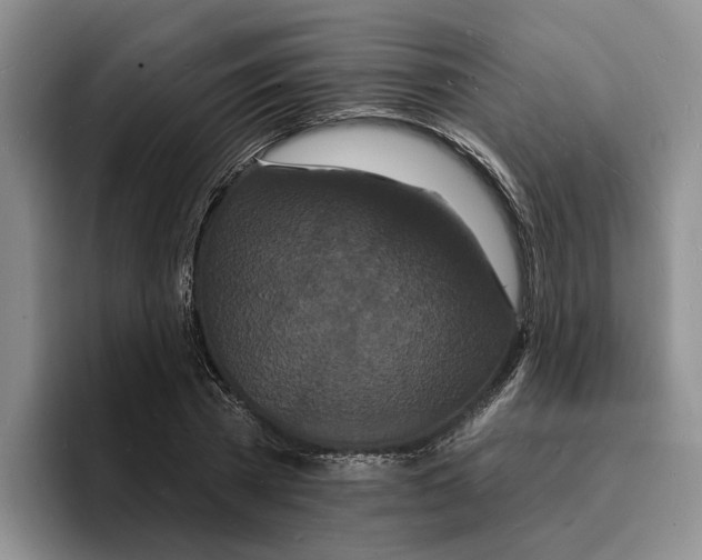 X0000096390785200802211141