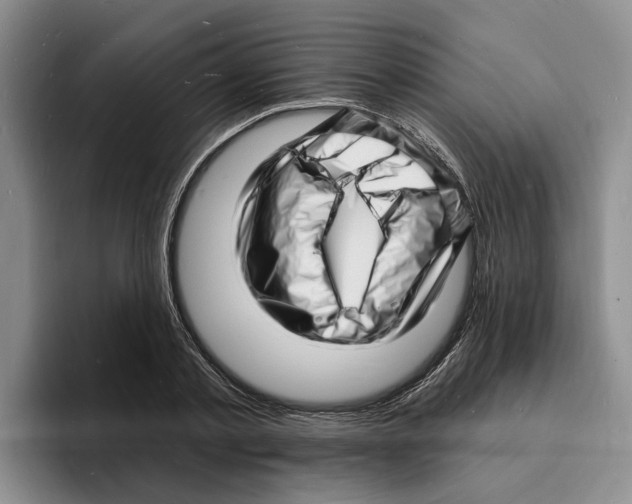 X0000096390789200802211141