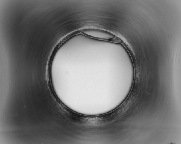 X0000096390791200802211141