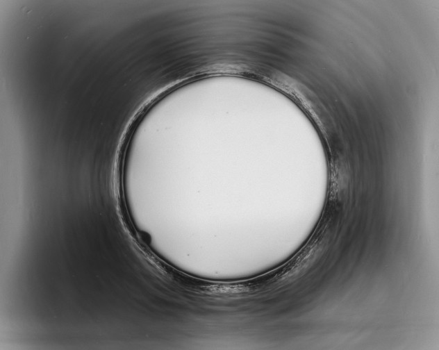 X0000096390795200802211141