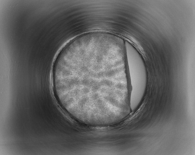 X0000096390796200802211141