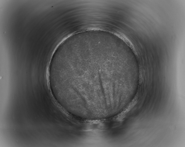 X0000096390798200802211141
