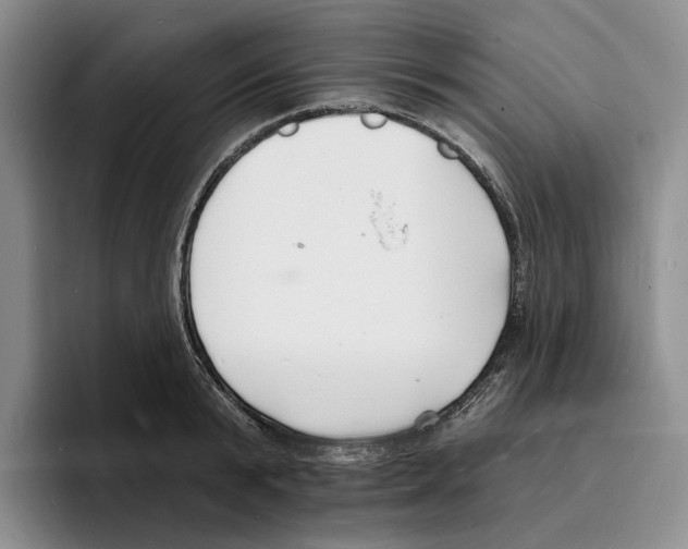 X0000096390799200802211141